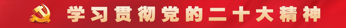 二十大